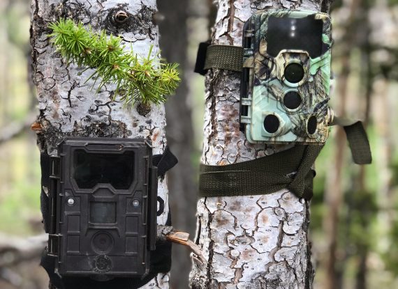 Trail Camera Placement & Location