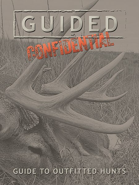 COVER IMAGE.webjpg COVER IMAGE.webjpg